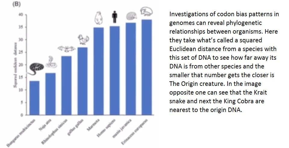 eucleidian distance.JPG