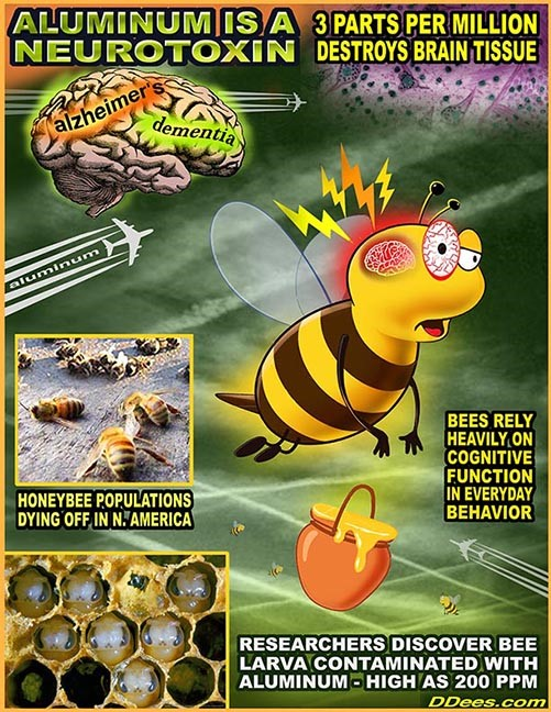 bees_dementia.fw2.png