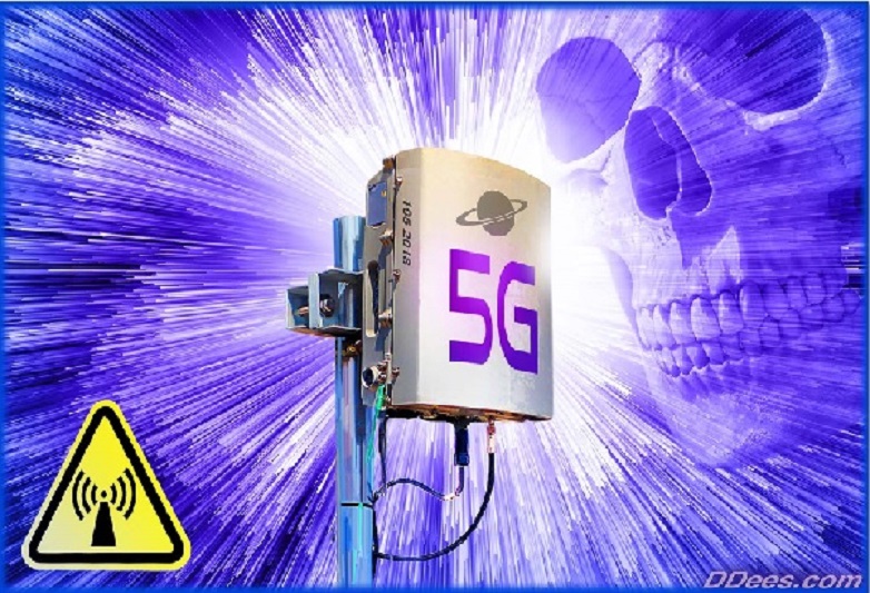 5G3.jpg